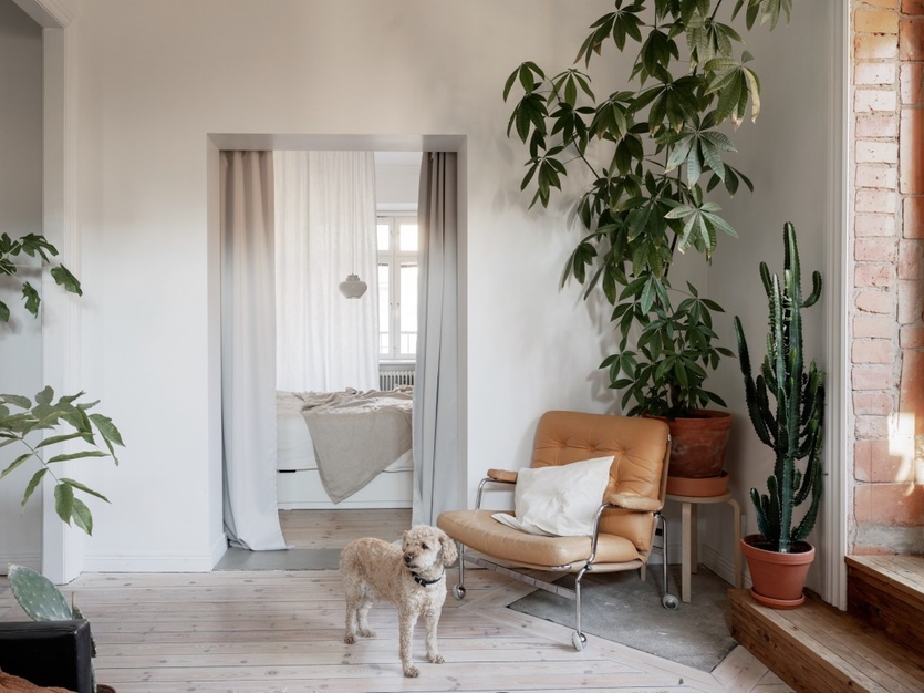 Дизайн гостиной в скандинавском стиле: правила оформления, советы, тренды и 70+ фото для вдохновения