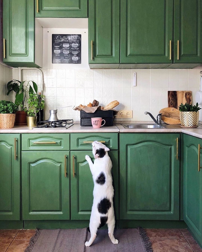 Красивая кухня зеленого цвета на фото