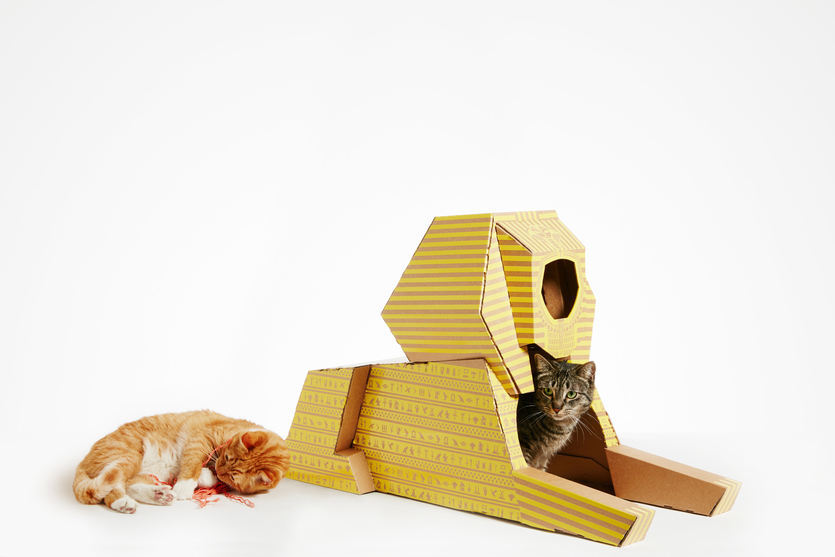 Как сделать домик для кошки из картонной коробки своими руками?