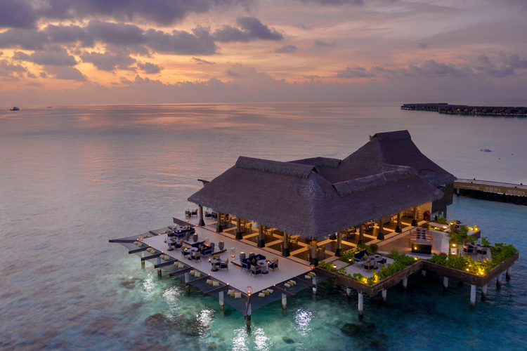 Каникулы у моря: 5 классных отелей на Мальдивах к праздникам
