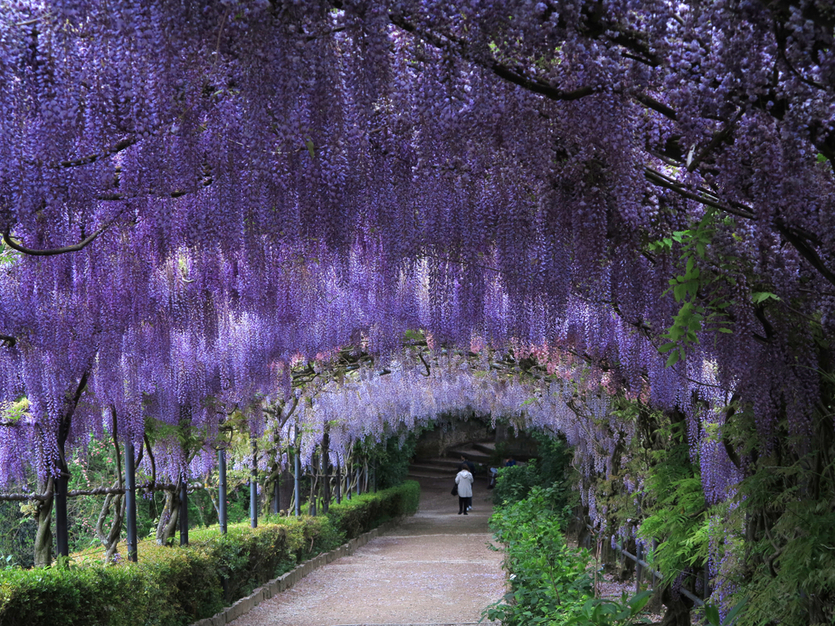 5 садов Италии, которые вы захотите посетить