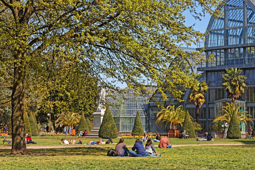 Увидеть своими глазами: 5 прекрасных садов Франции