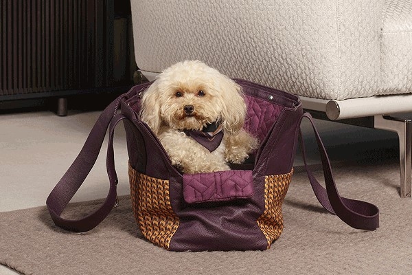 Как для себя: коллекция аксессуаров для питомцев