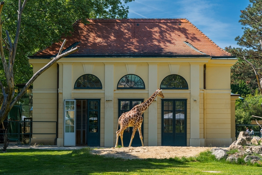 Стоит посетить: 5 выдающихся садов Австрии