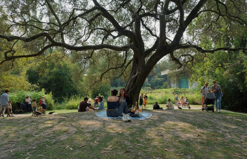 5 парков Португалии, которые захочется посетить