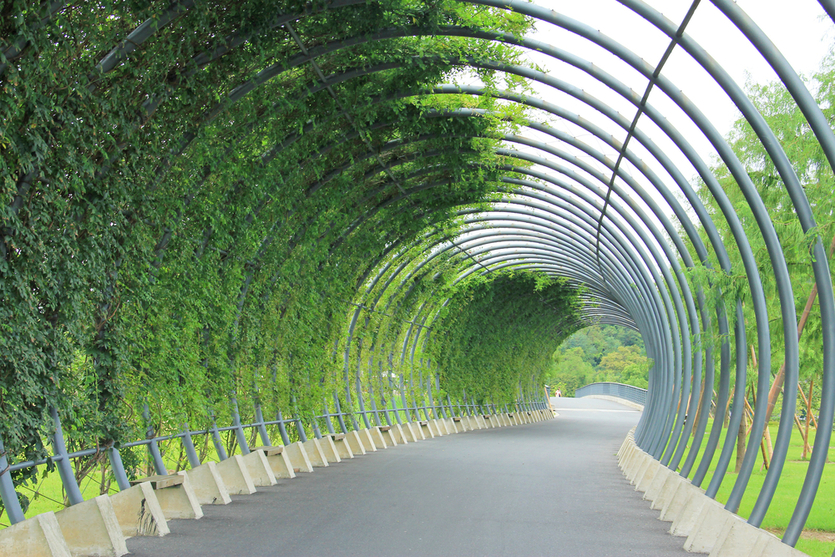 5 самых красивых парков Китая