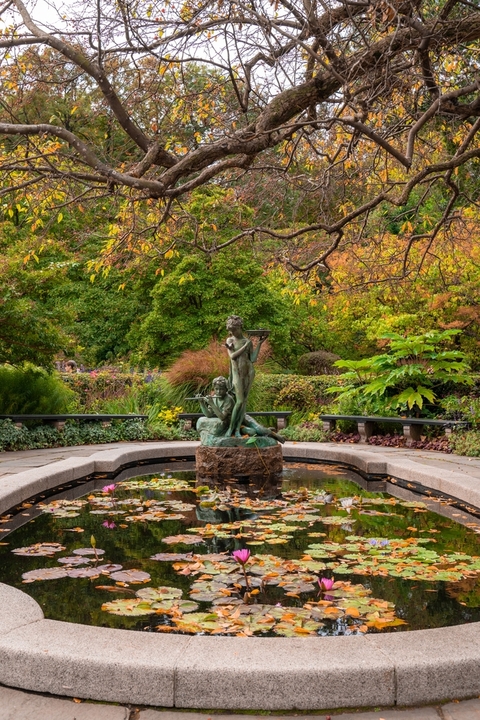 5 самых красивых парков США