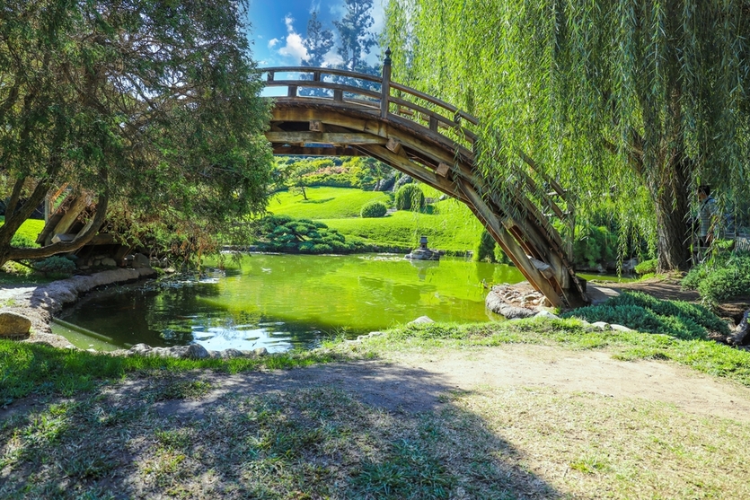 5 самых красивых парков США