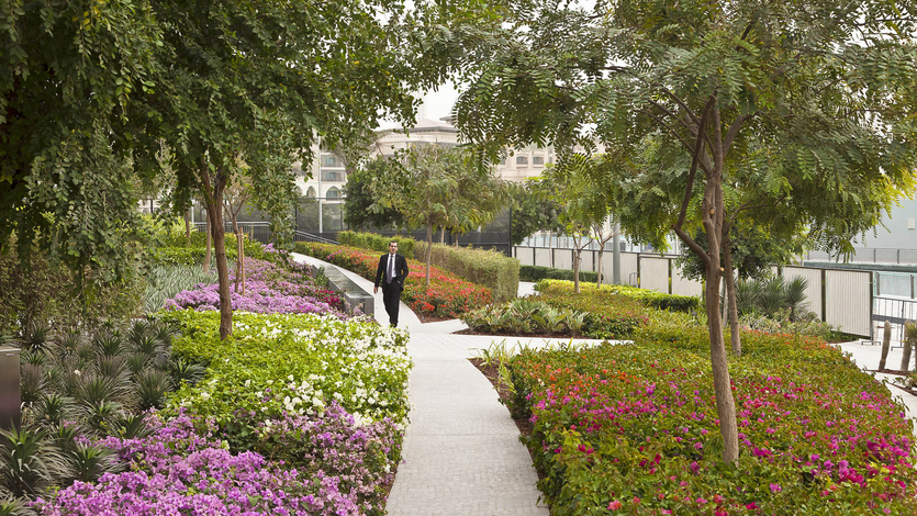 5 cадов и парков ОАЭ: новые ориентиры ландшафтного дизайна