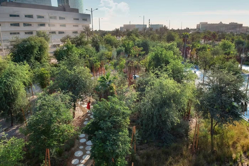 5 cадов и парков ОАЭ: новые ориентиры ландшафтного дизайна