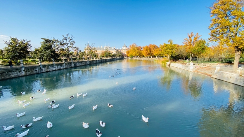 Цветущий оазис: сады Аранхуэс под Мадридом