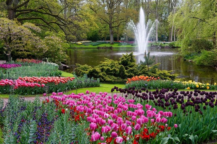 Кекенхоф: как появился главный сад Европы