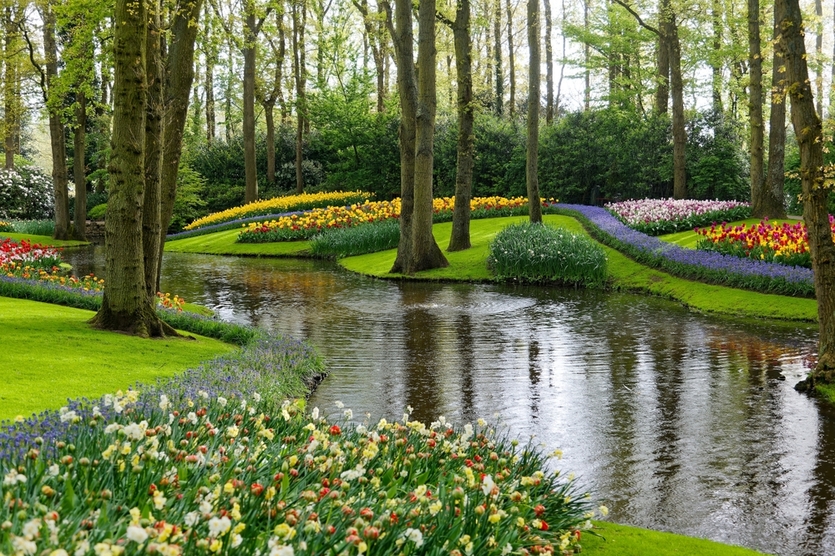 Кекенхоф: как появился главный сад Европы