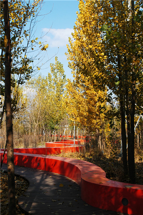 Интерьер на открытом воздухе: ландшафтная концепция парка Тангхэ