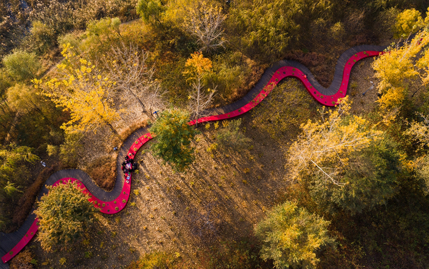 Интерьер на открытом воздухе: ландшафтная концепция парка Тангхэ